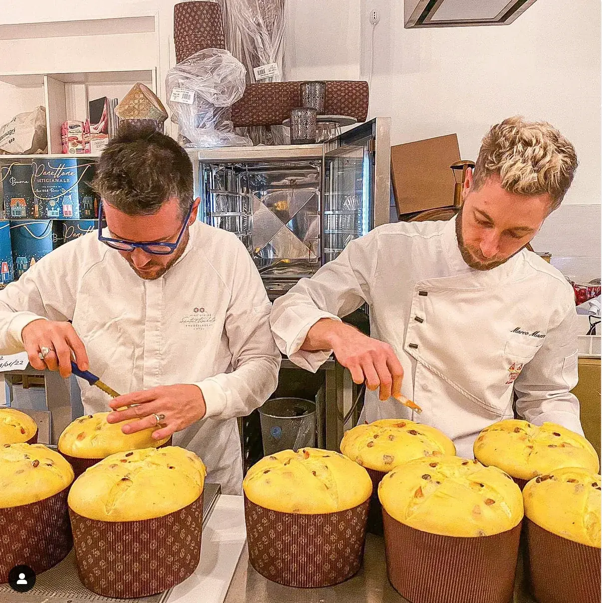 Panettoni artigianali in lievitazione nel laboratorio